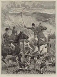 Przez ogień do wolności, Incydent z biegu z Devon i Somerset Staghounds